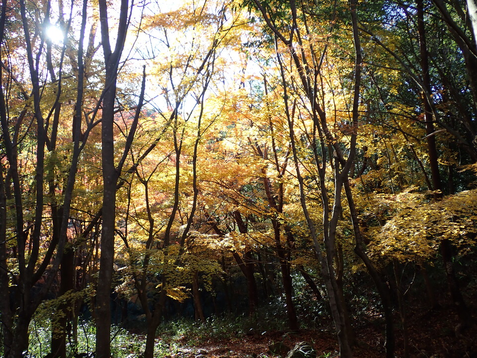 PC018767_mid.jpg