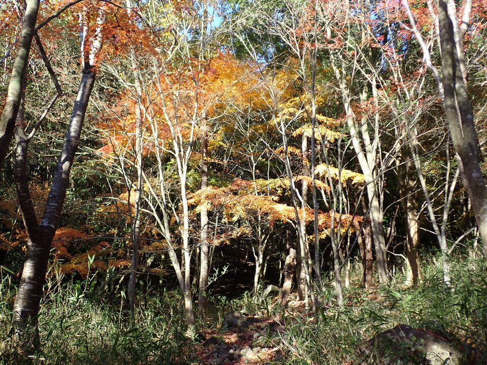 PC018774_mid.jpg