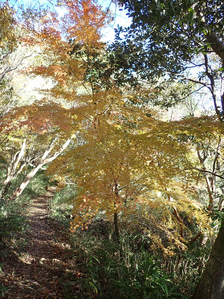 PC018786_mid.jpg