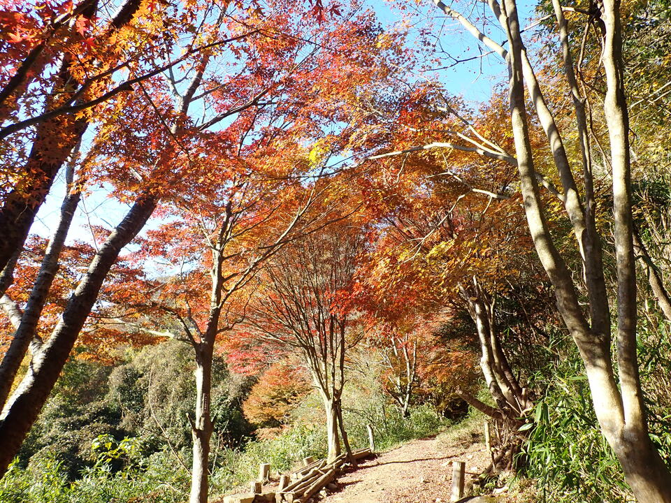 PC018796_mid.jpg