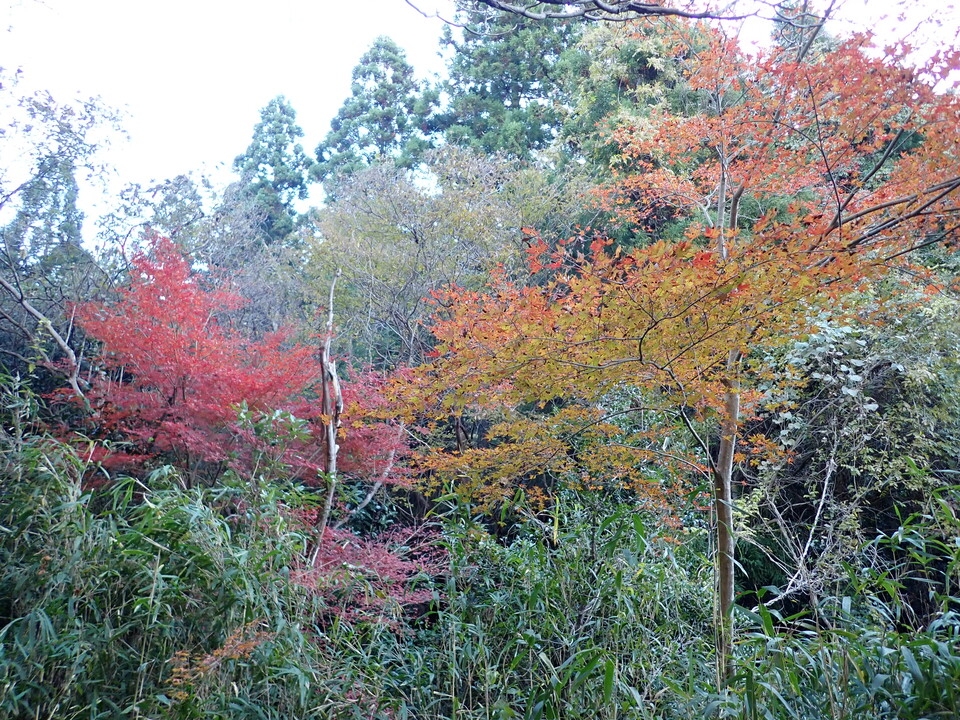 PC018811_mid.jpg