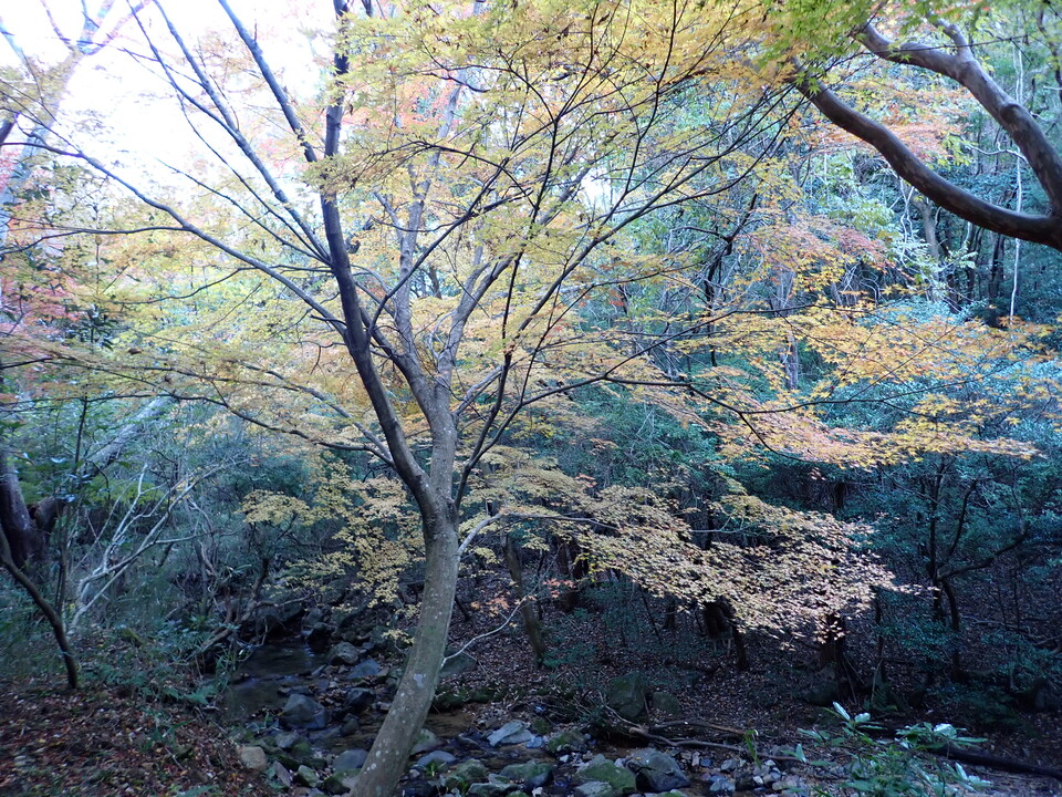 PC018819_mid.jpg