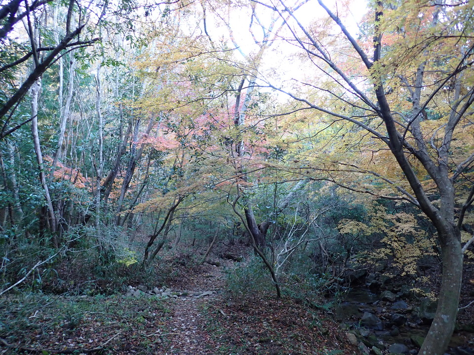 PC018821_mid.jpg