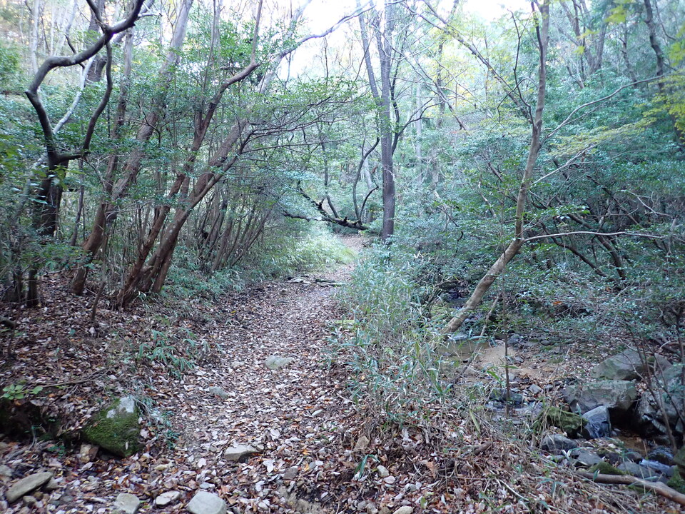PC018824_mid.jpg