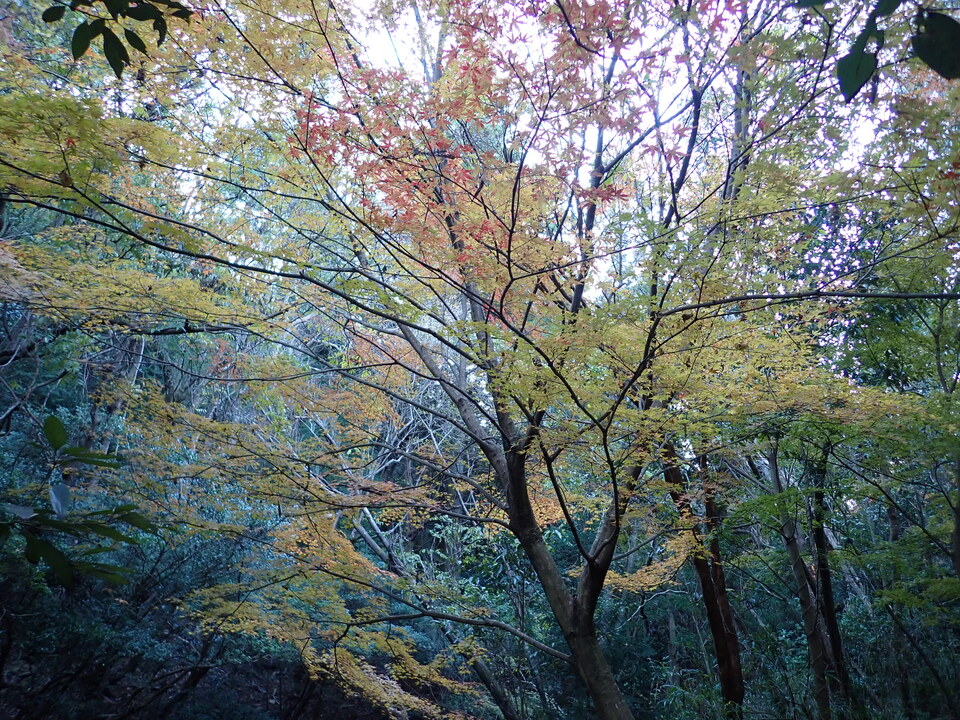 PC018826_mid.jpg