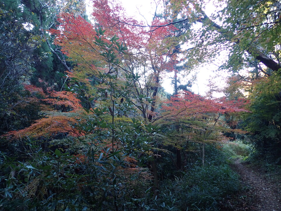 PC018835_mid.jpg