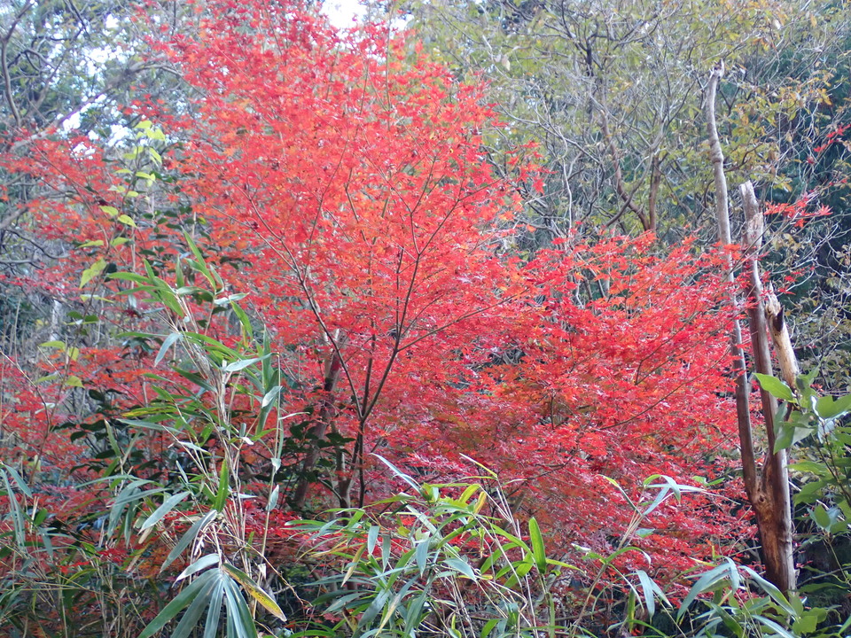PC018839_mid.jpg