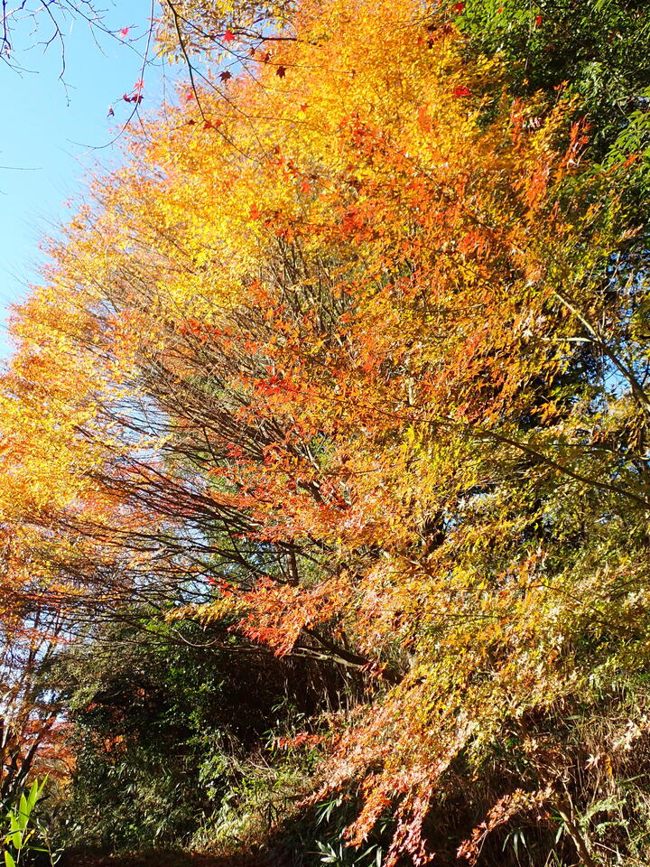 PC018843_mid.jpg