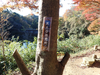PC018845_thumb.png