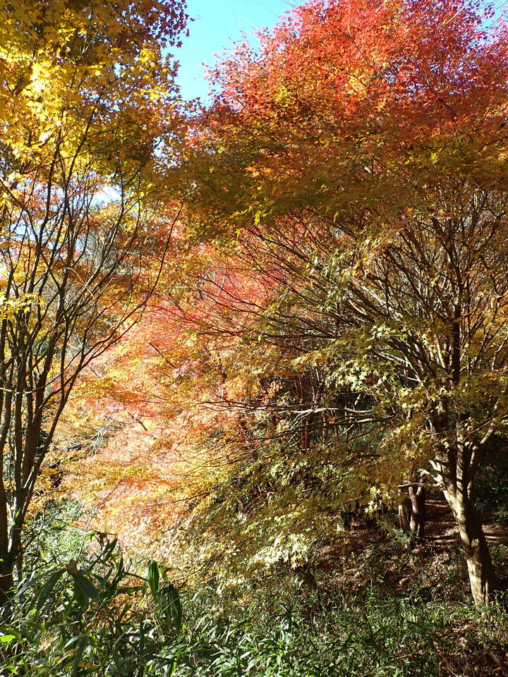 PC018852_mid.jpg