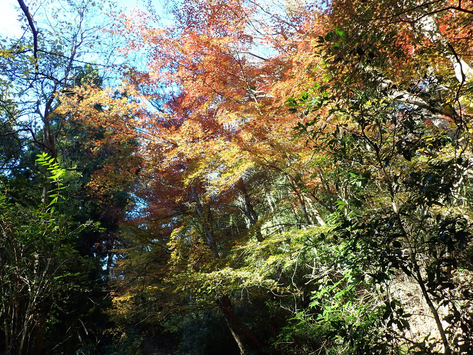 PC018913_mid.jpg