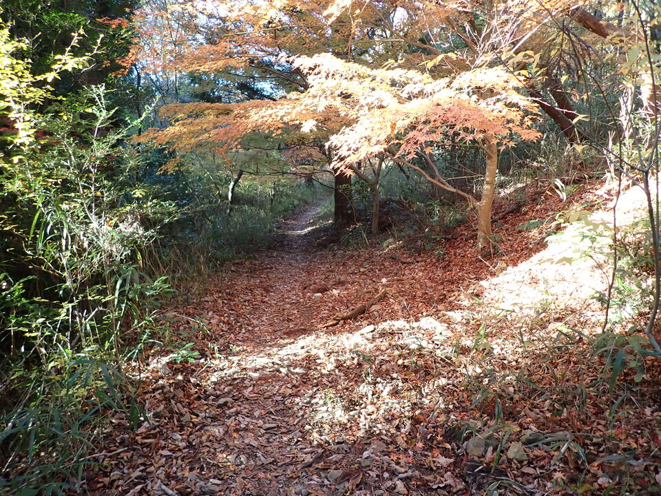 PC018923_mid.jpg