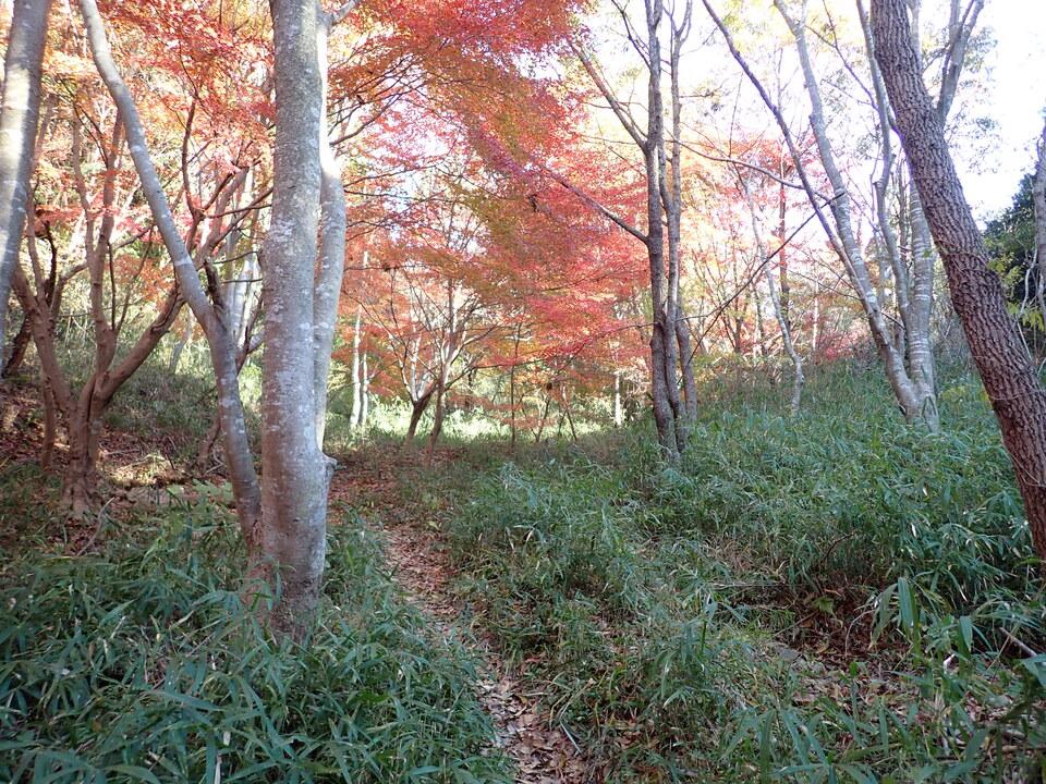 PC018951_mid.jpg