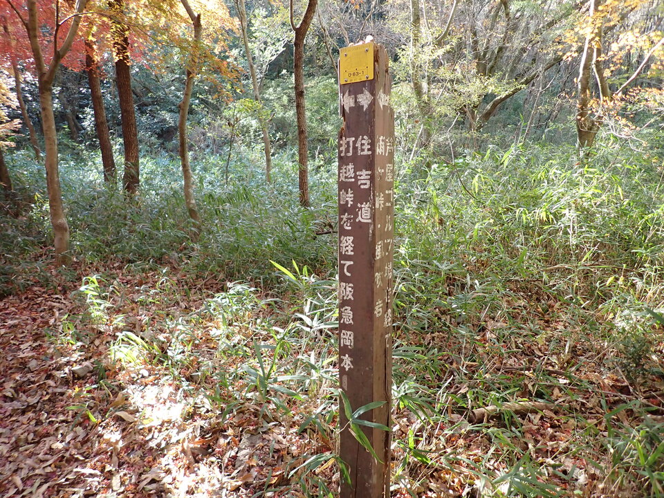 PC018974_mid.jpg