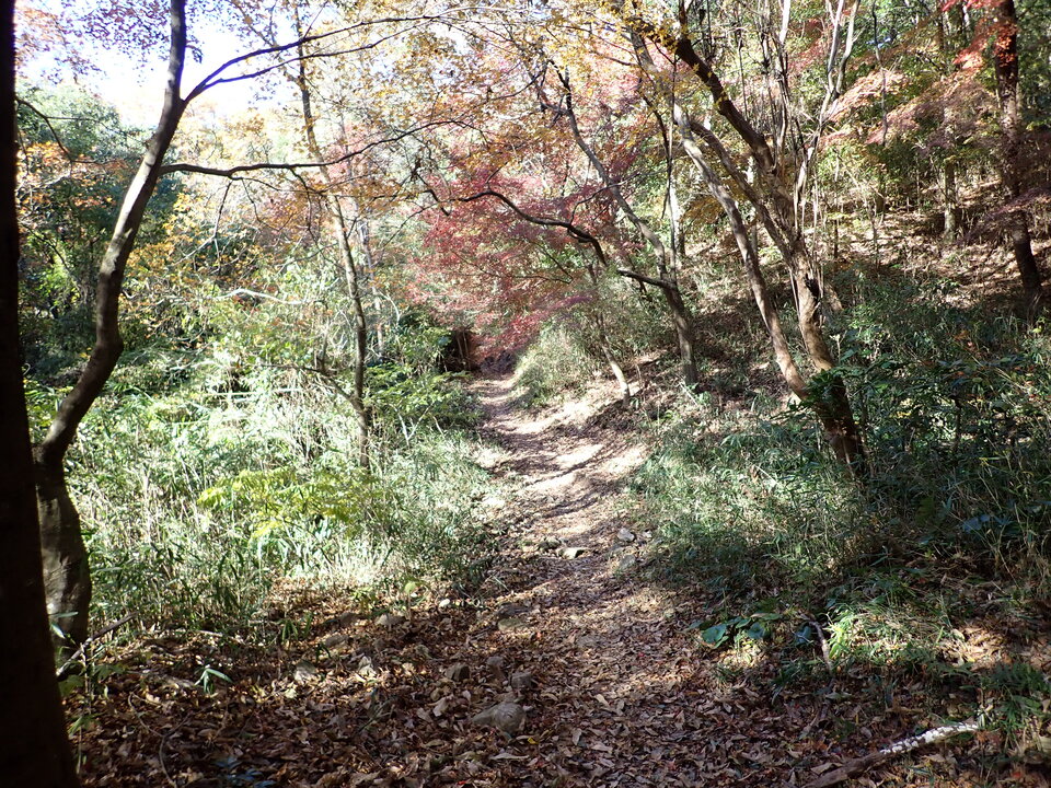 PC018975_mid.jpg
