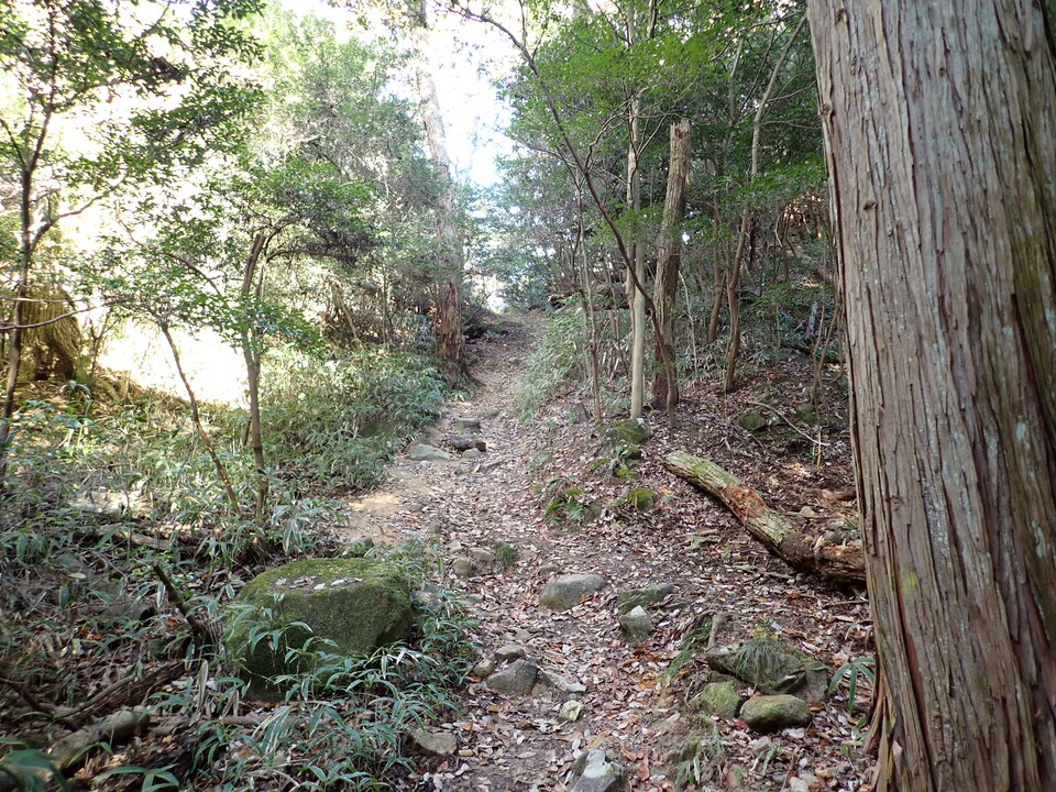 PC018979_mid.jpg