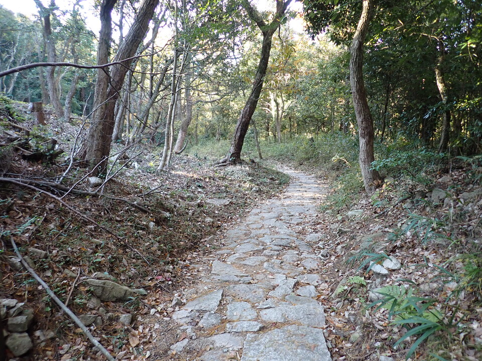PC018989_mid.jpg