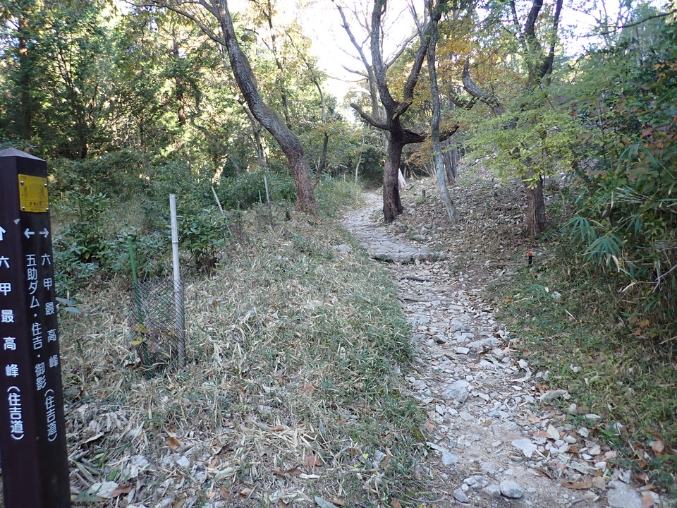 PC018993_mid.jpg