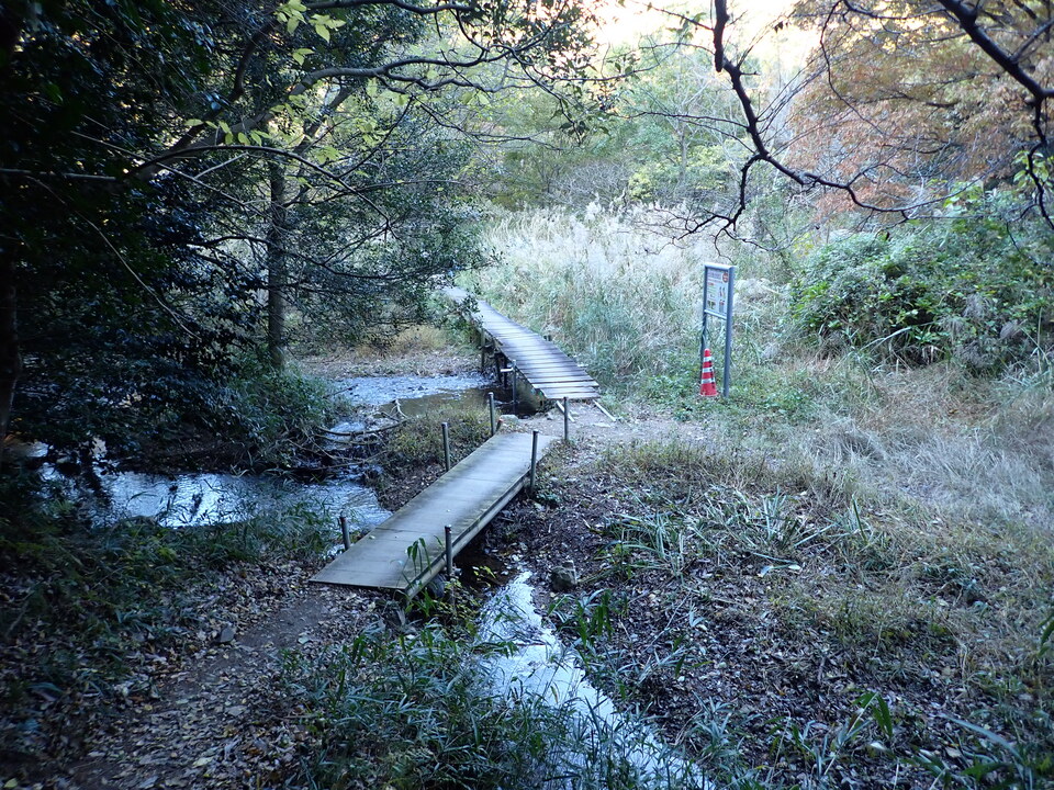 PC019006_mid.jpg