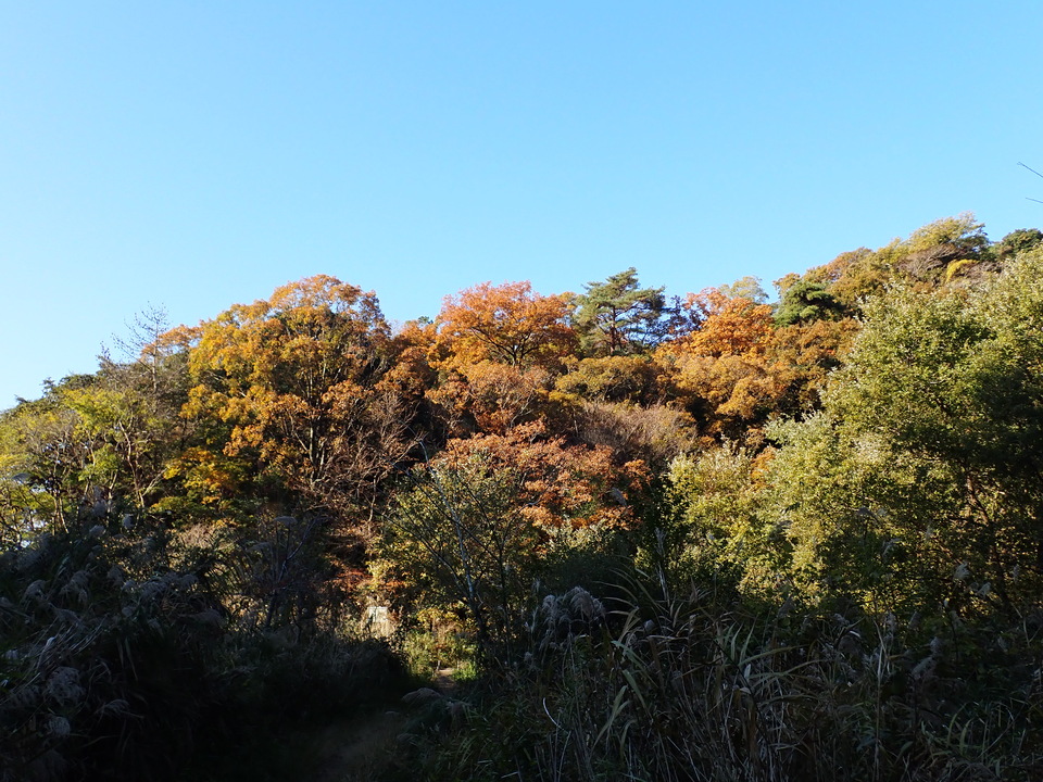 PC019014_mid.jpg