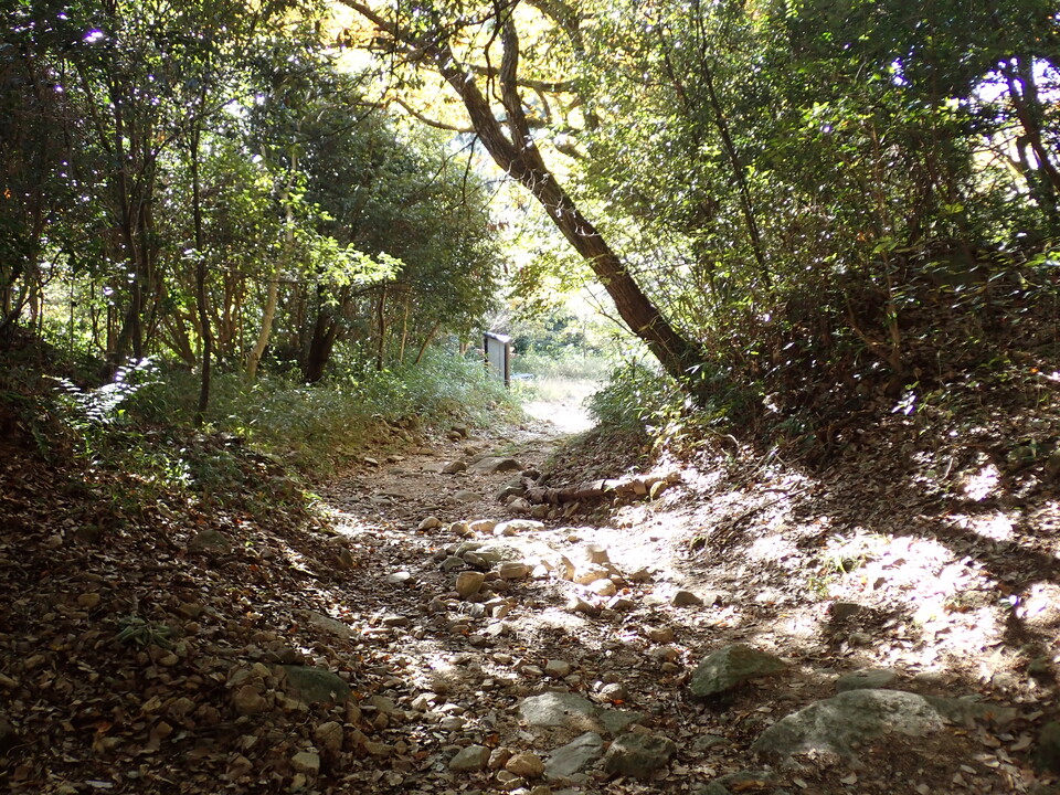 PC019026_mid.jpg
