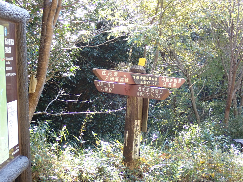 PC019027_mid.jpg