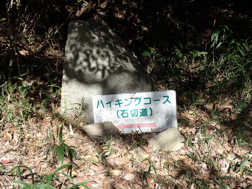 PC019029_mid.jpg