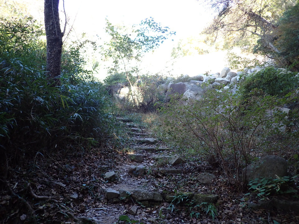PC019040_mid.jpg