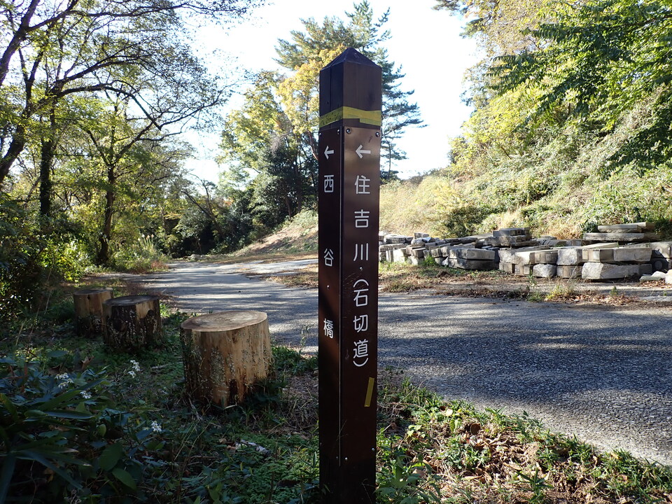 PC019043_mid.jpg