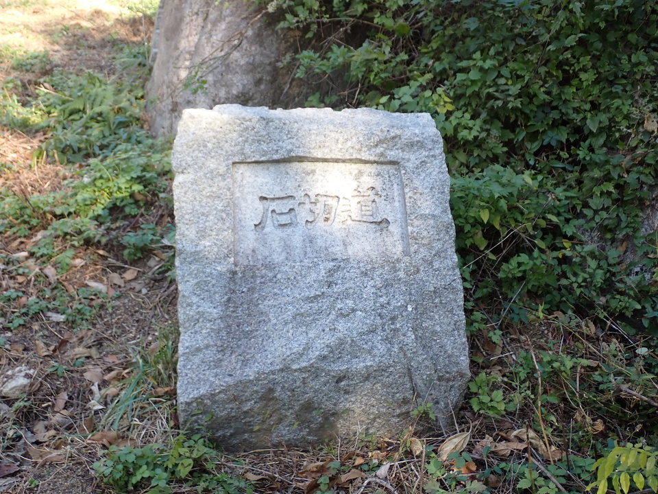 PC019045_mid.jpg