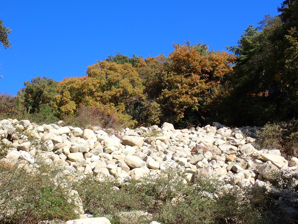 PC019048_mid.jpg