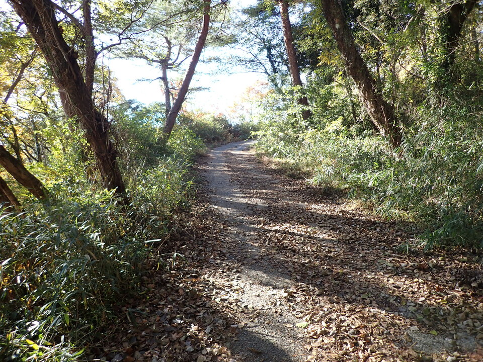 PC019049_mid.jpg