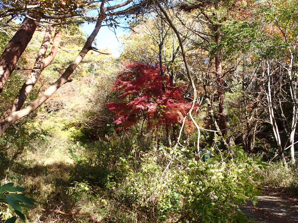 PC019053_mid.jpg