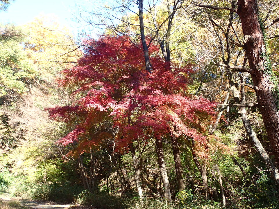 PC019056_mid.jpg
