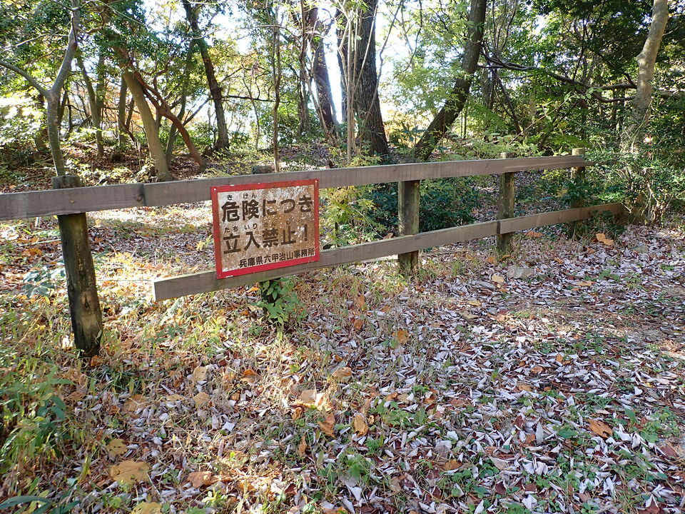 PC019067_mid.jpg