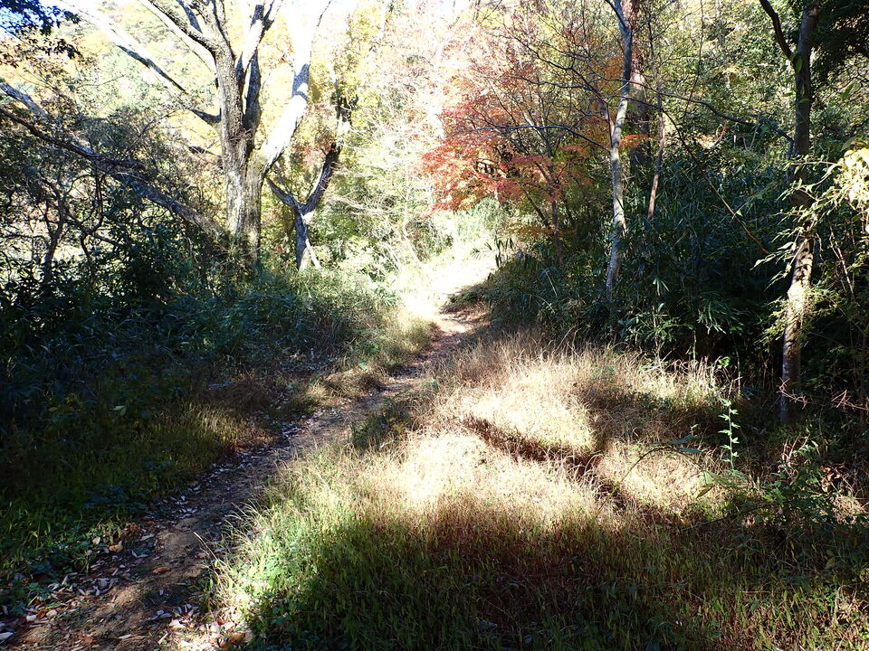 PC019068_mid.jpg
