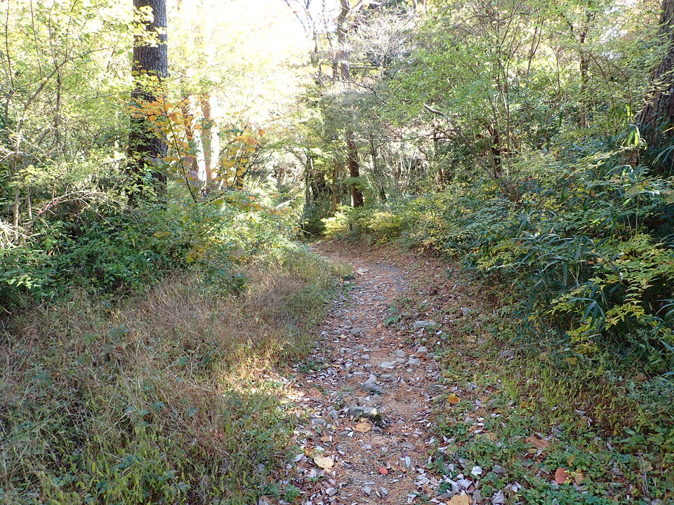 PC019069_mid.jpg