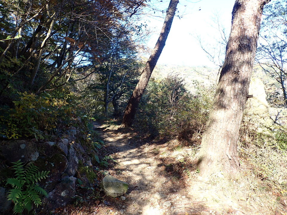 PC019080_mid.jpg