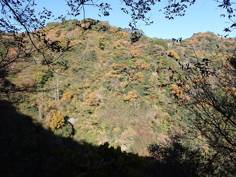 PC019086_mid.jpg