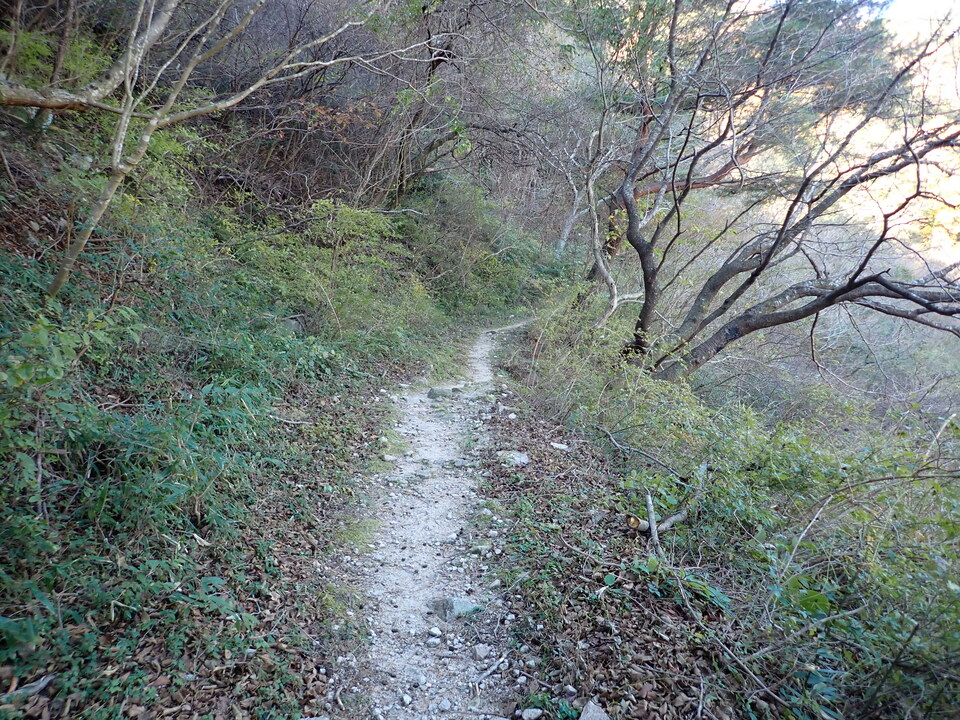 PC019088_mid.jpg