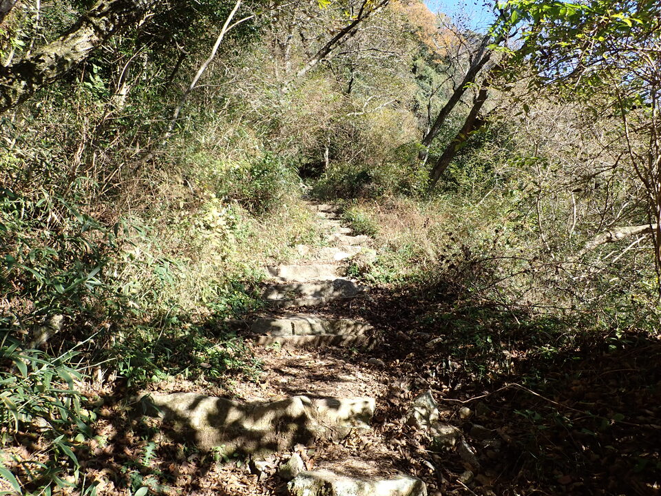PC019095_mid.jpg