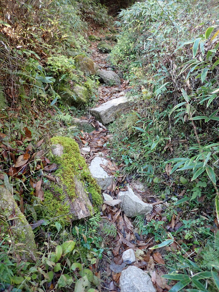 PC019099_mid.jpg