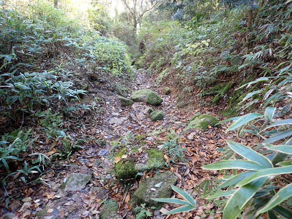 PC019102_mid.jpg