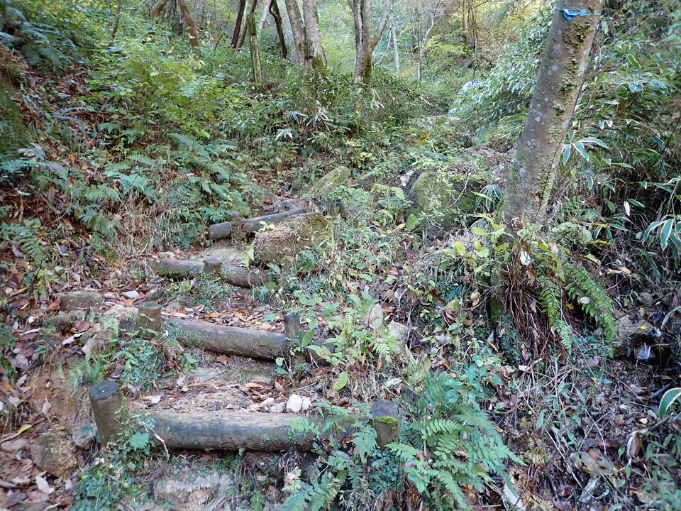 PC019105_mid.jpg