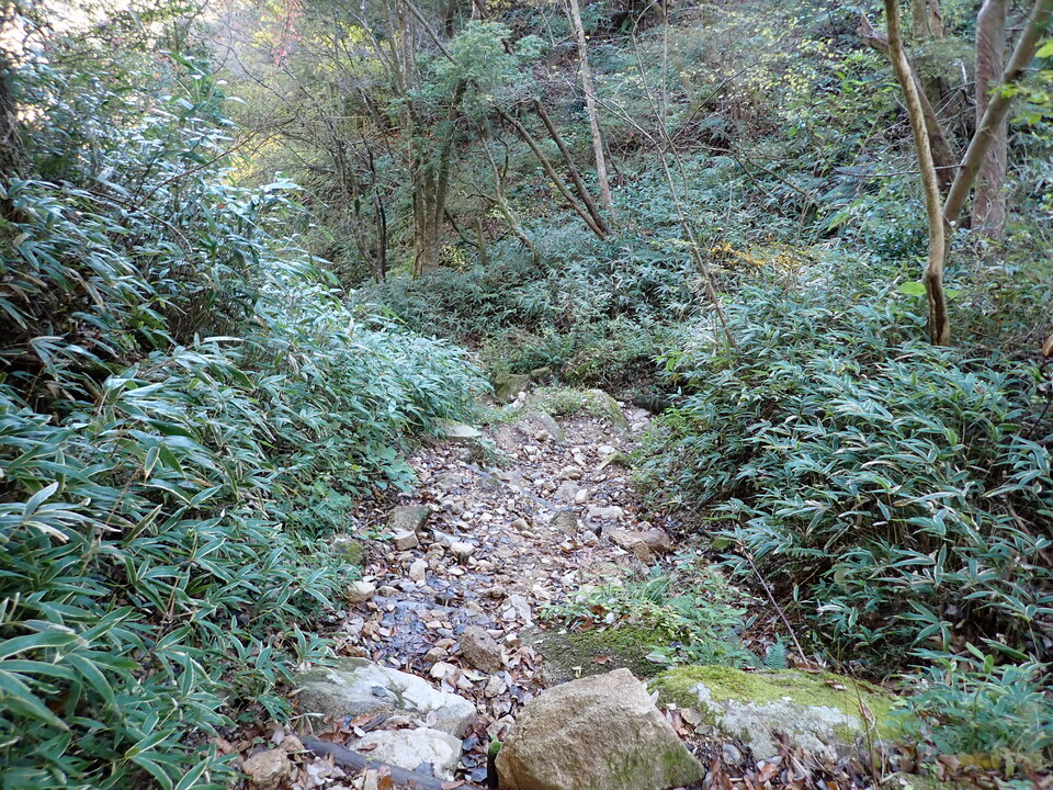 PC019111_mid.jpg