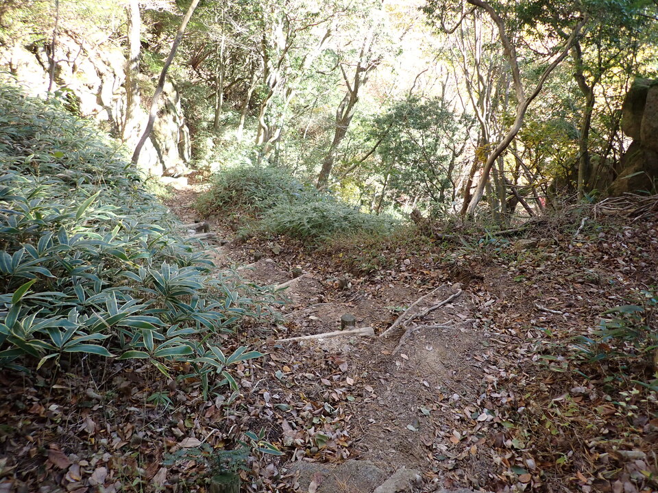 PC019120_mid.jpg