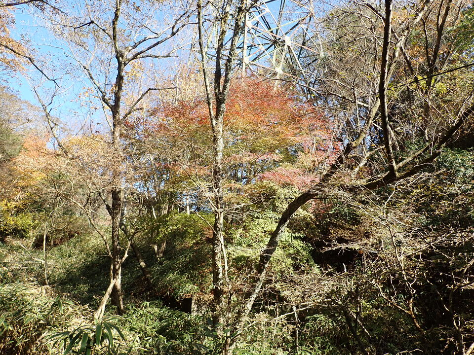 PC019123_mid.jpg