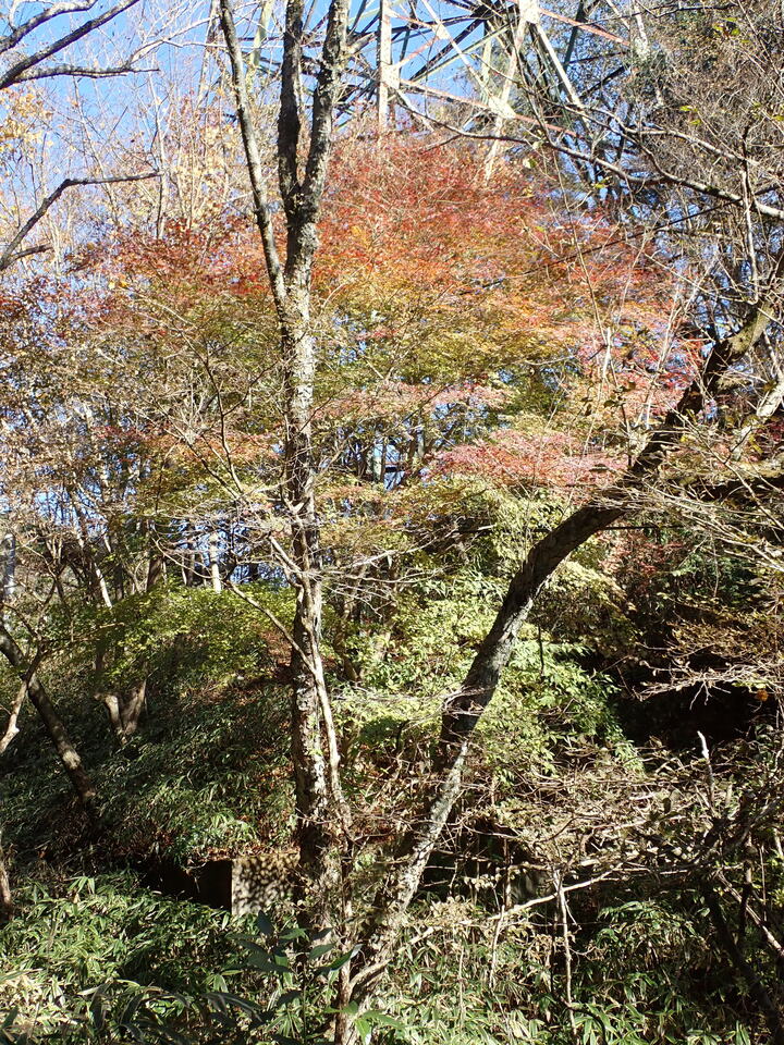 PC019124_mid.jpg