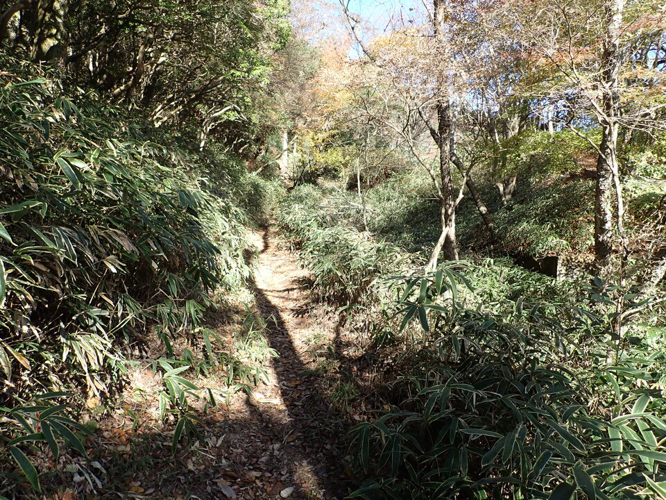 PC019125_mid.jpg