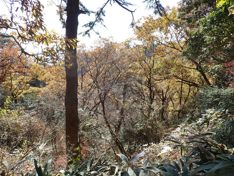 PC019134_mid.jpg
